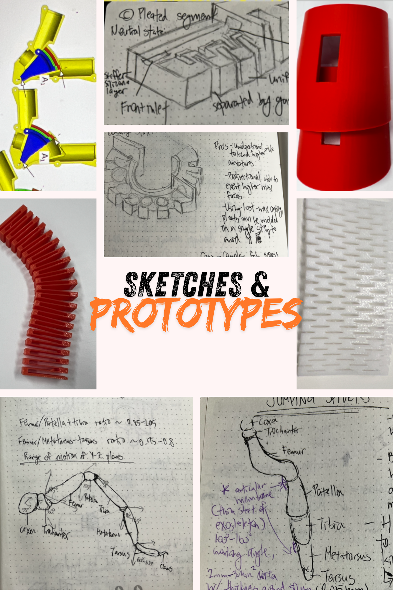 Spider-inspired robotic leg prototype